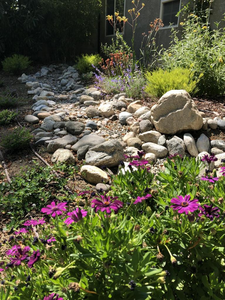 Dry Creek Beds Landscape Design Songbird Garden Design 1002